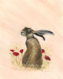 Poppy Hare